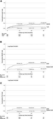 Technical success, clinical efficacy, and insight into the causes of restenosis after the percutaneous coronary intervention of de novo coronary artery lesions using a paclitaxel-coated balloon with citrate ester excipient